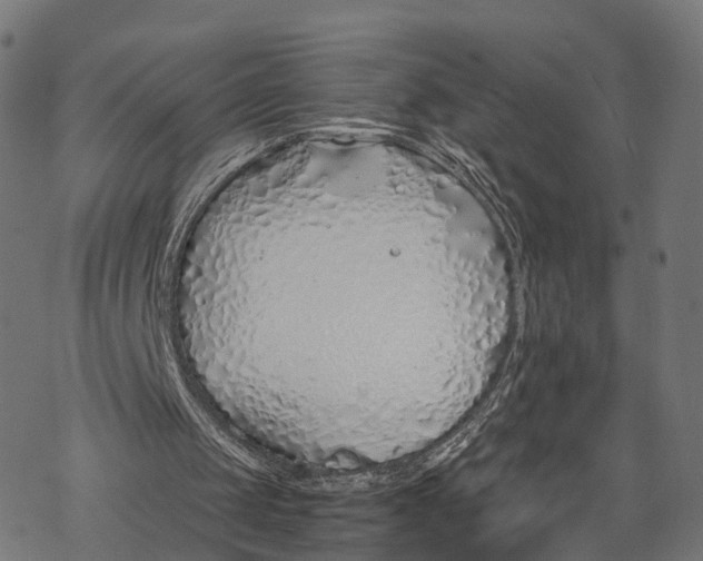 X0000067940049200605041810