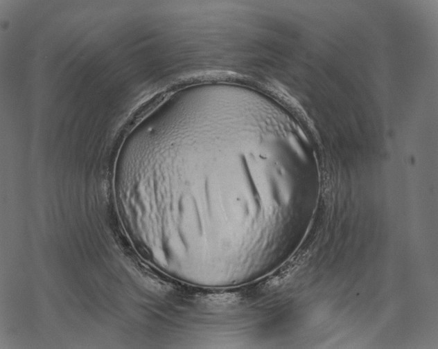 X0000067940063200605041811