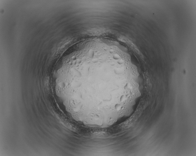 X0000067940066200605041811
