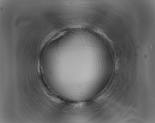 X0000067940068200605041811