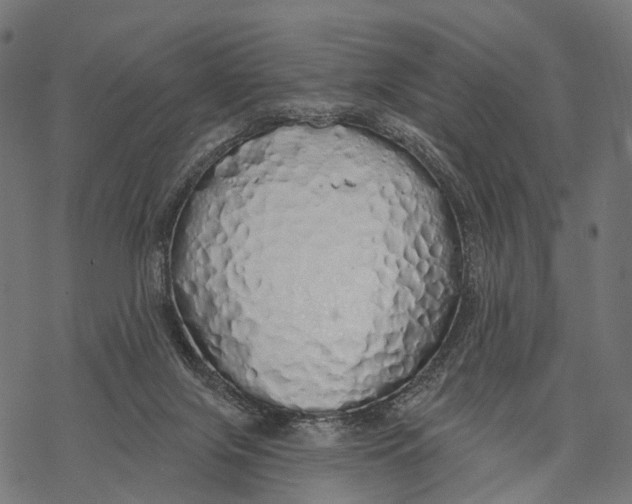 X0000067940071200605041811