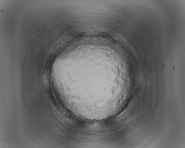 X0000067940074200605041811