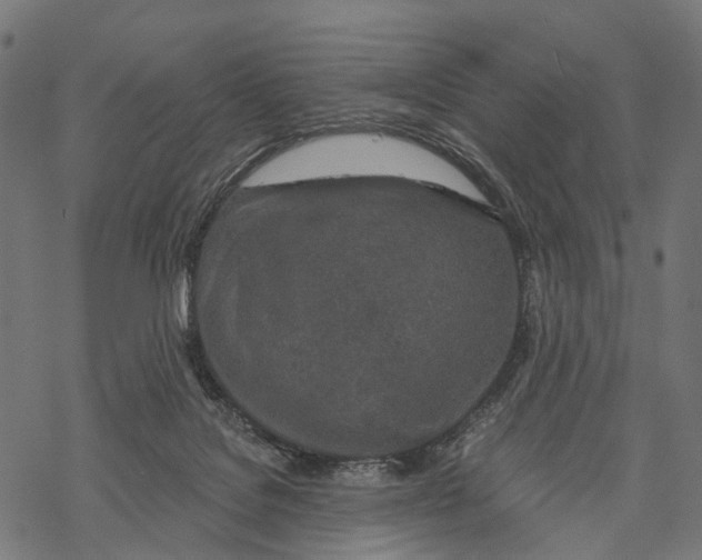 X0000067940076200605041811