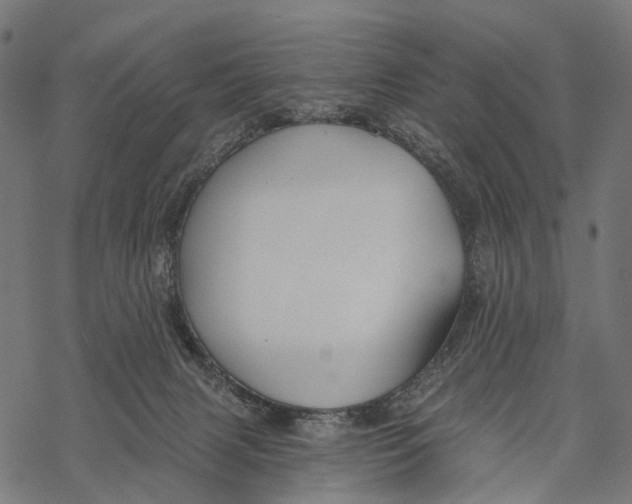 X0000067940079200605041811
