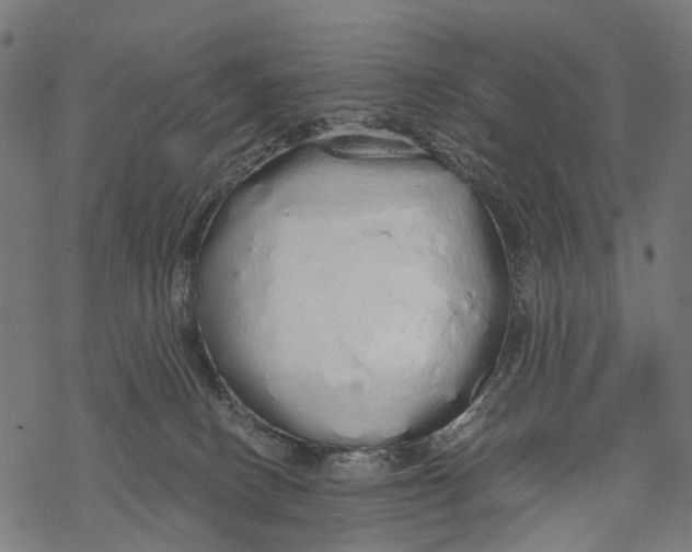X0000067940082200605041811