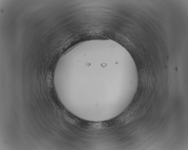 X0000067940083200605041811