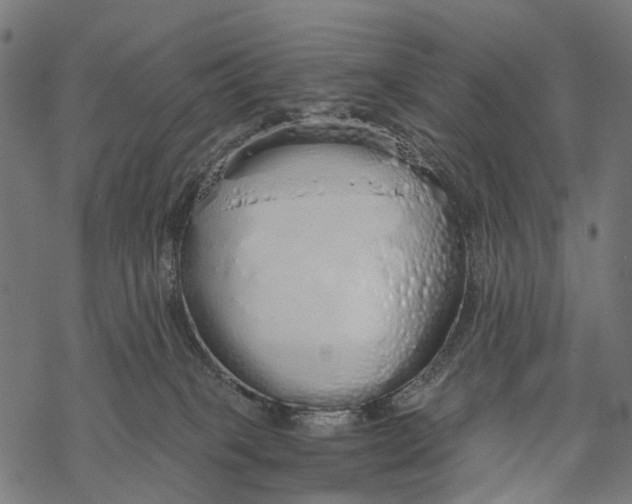 X0000067940085200605041811