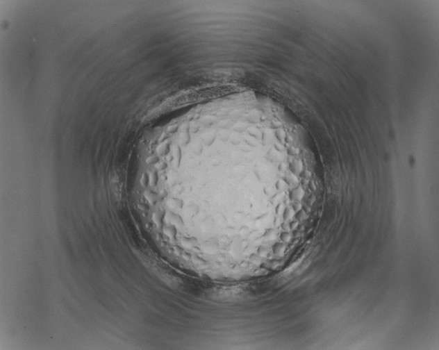 X0000067940086200605041811