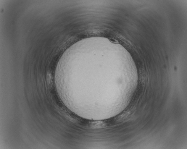 X0000067940087200605041811