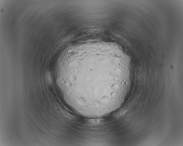 X0000067940089200605041811