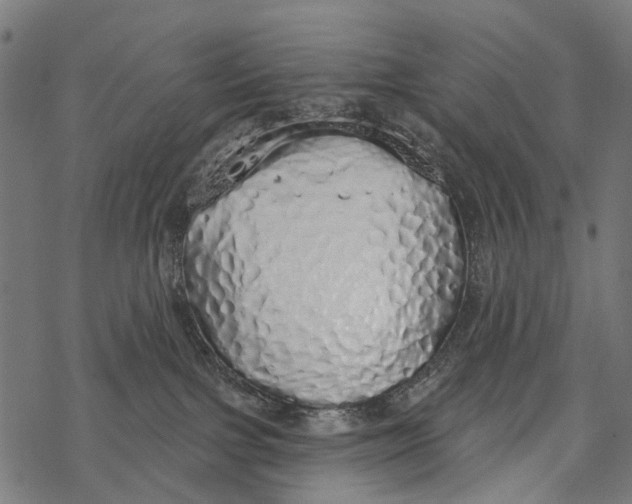 X0000067940091200605041811
