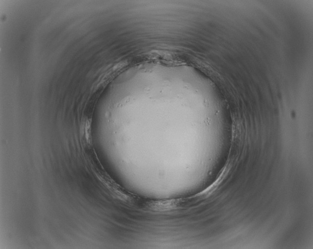 X0000067940094200605041811