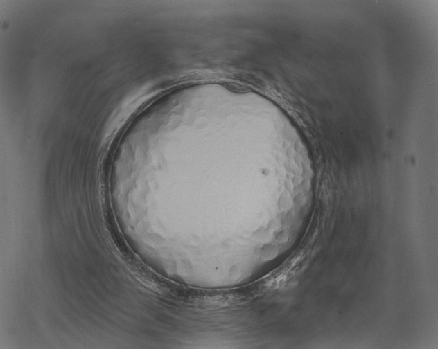 X0000067940103200605041810