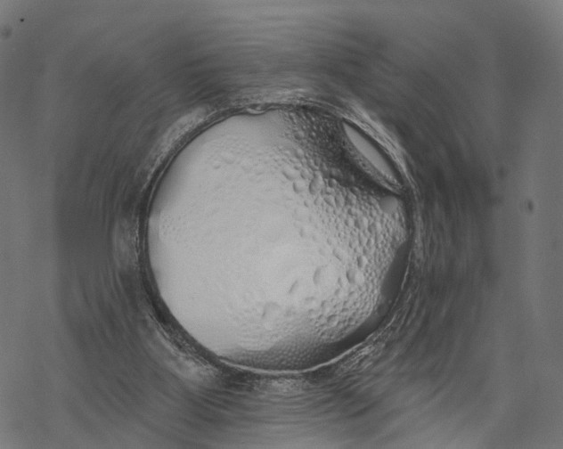 X0000067940107200605041810