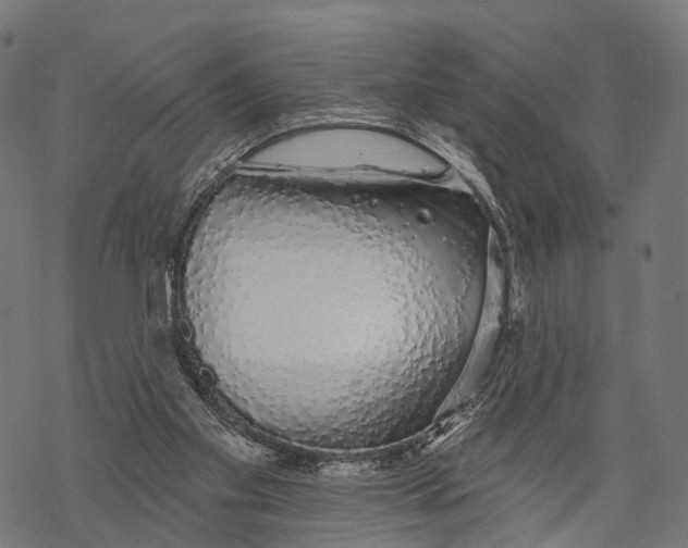 X0000067940109200605041810