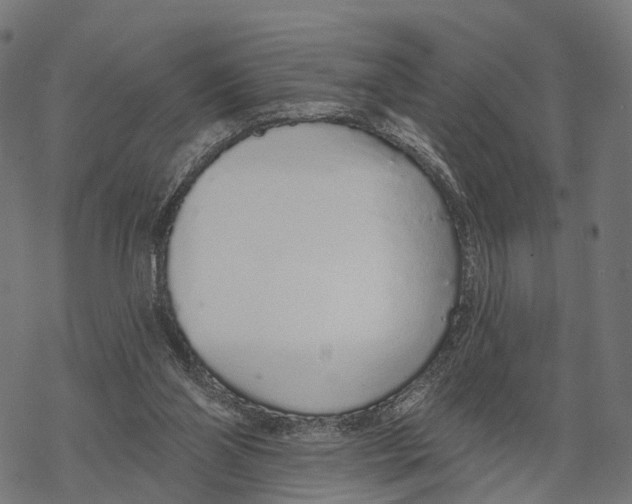 X0000067940110200605041810