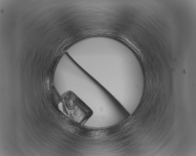 X0000067940117200605041810