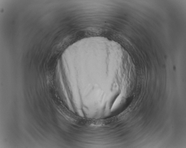 X0000067940134200605041810