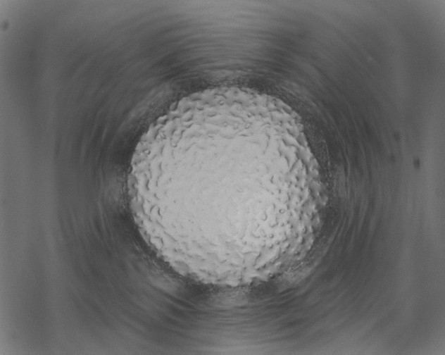 X0000067940138200605041810