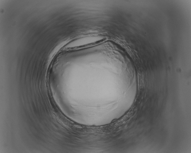 X0000067940147200605041809