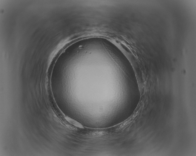 X0000067940152200605041809
