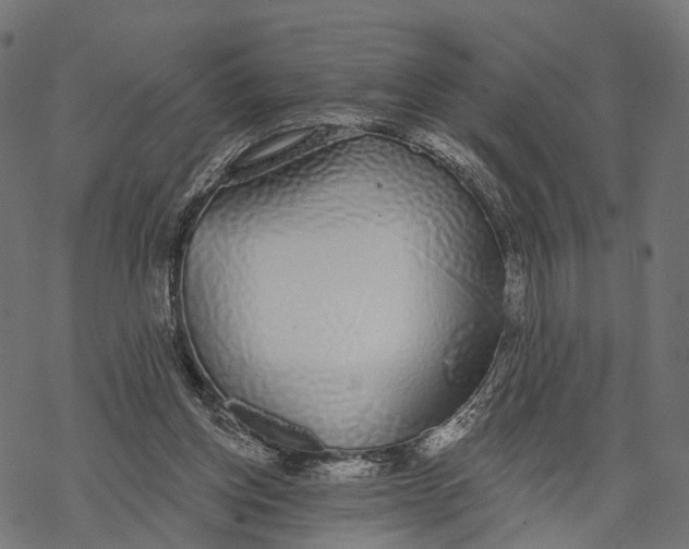 X0000067940158200605041809