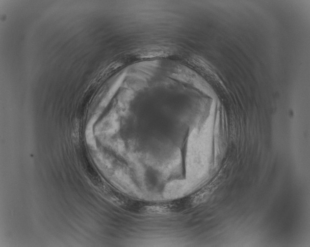 X0000067940167200605041809
