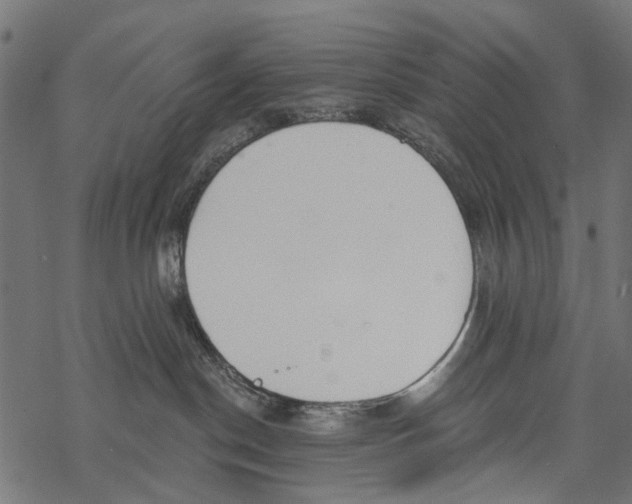 X0000067940190200605041810
