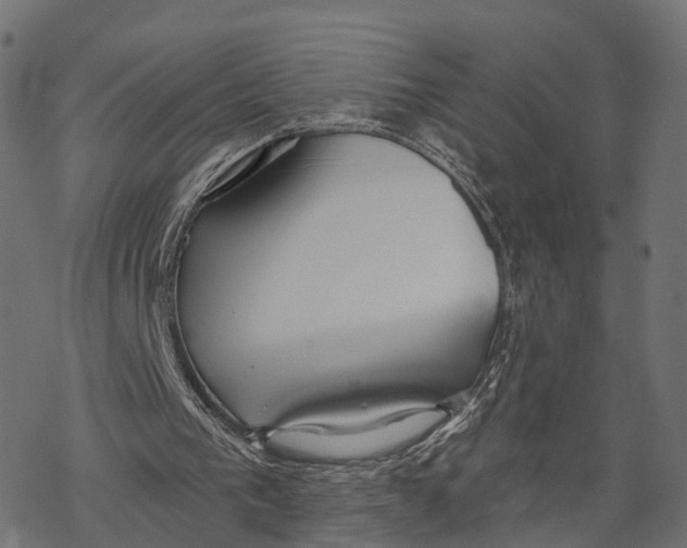 X0000067940193200605041809