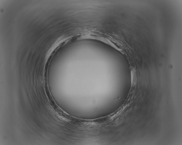 X0000067940195200605041809