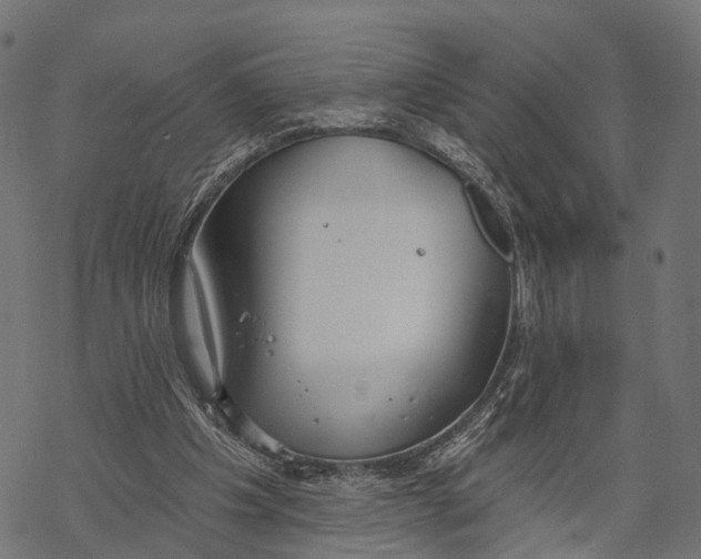 X0000067940201200605041809
