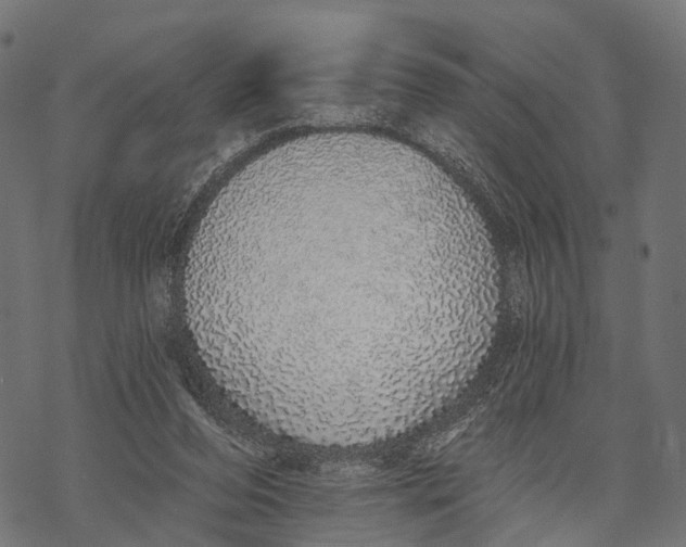 X0000067940208200605041809