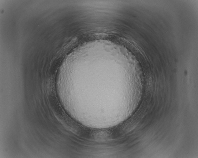 X0000067940218200605041808