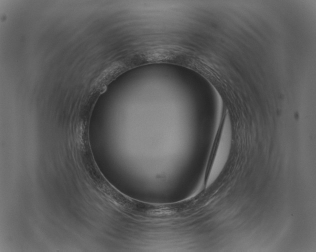 X0000067940219200605041808