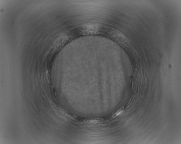 X0000067940224200605041808