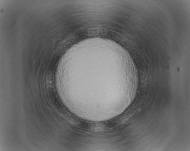 X0000067940226200605041808