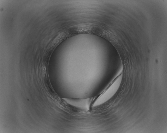 X0000067940227200605041808