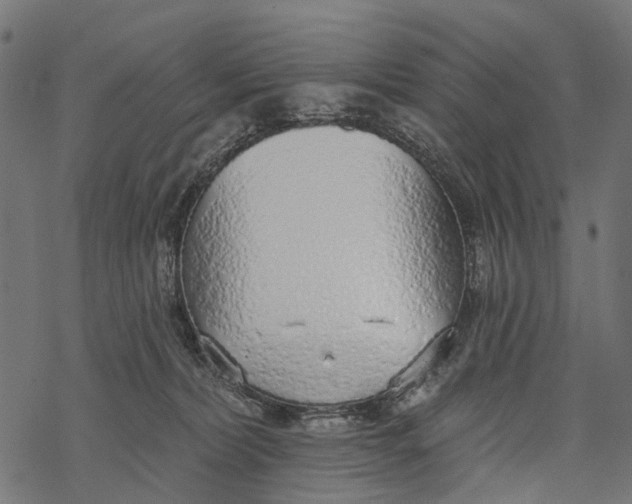 X0000067940228200605041808