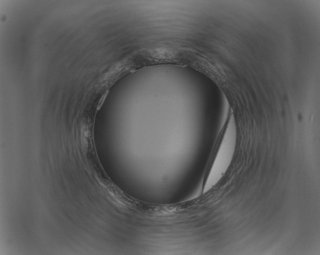 X0000067940235200605041808