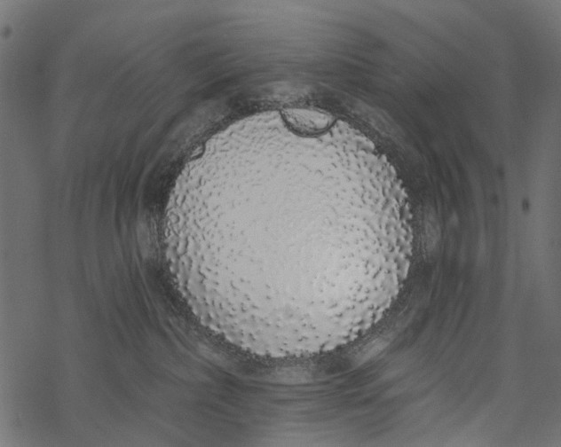 X0000067940236200605041808