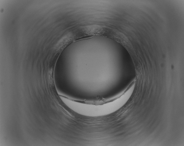 X0000067940239200605041808