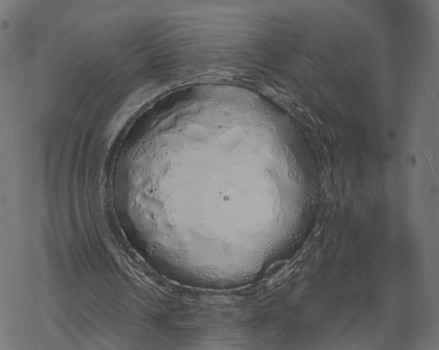 X0000067940242200605041807