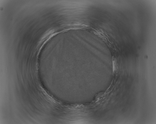X0000067940243200605041807