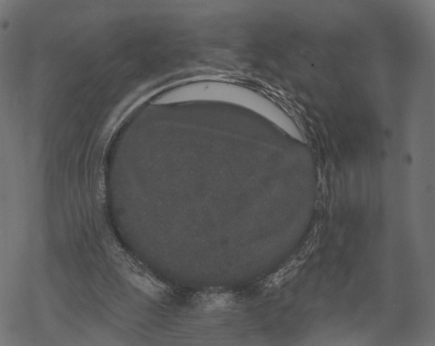 X0000067940247200605041807