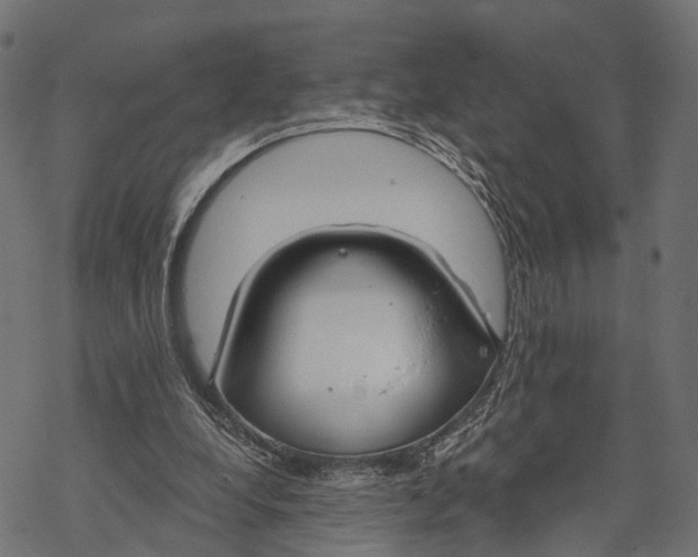 X0000067940248200605041807