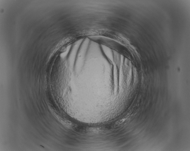 X0000067940250200605041807