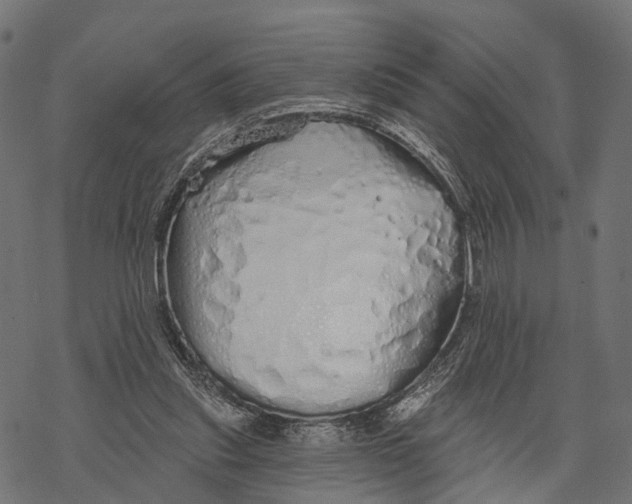 X0000067940253200605041807