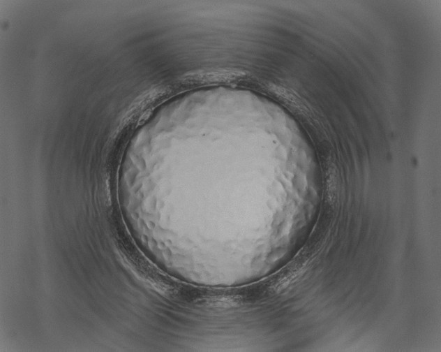 X0000067940254200605041807