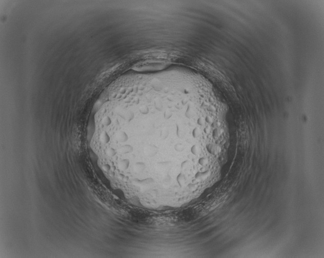 X0000067940255200605041807