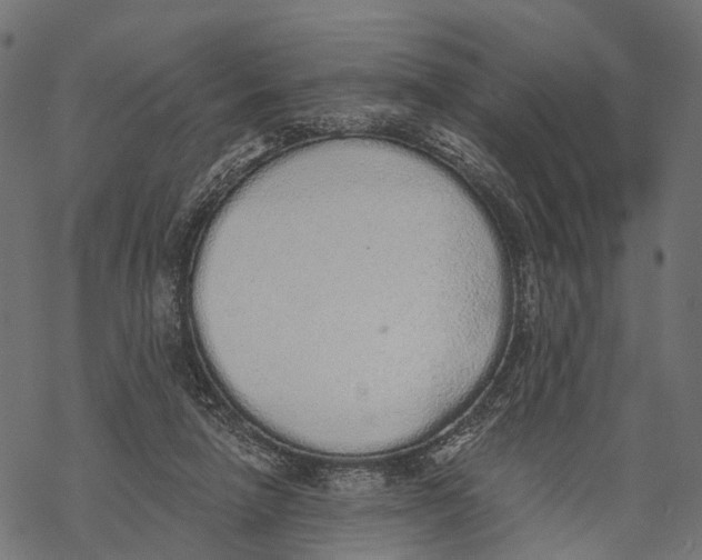 X0000067940258200605041808